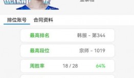 小韩王者爆料视频